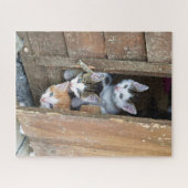 Barn Kittens Legpuzzel (Horizontaal)