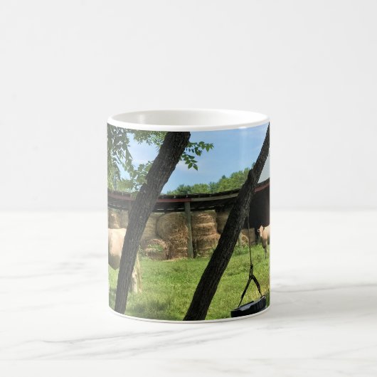 Barn & Koeien, Rural North Carolina Canvas Print M Koffiemok (Center)