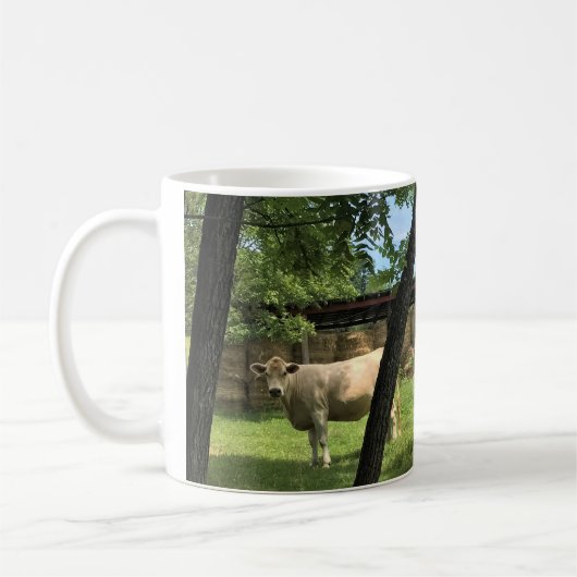 Barn & Koeien, Rural North Carolina Canvas Print M Koffiemok (Links)