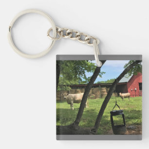 Barn & Koeien, Rural North Carolina Canvas Print M Sleutelhanger
