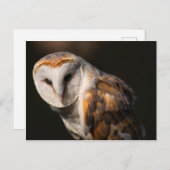 Barn-ogen Briefkaart (Voorkant / Achterkant)