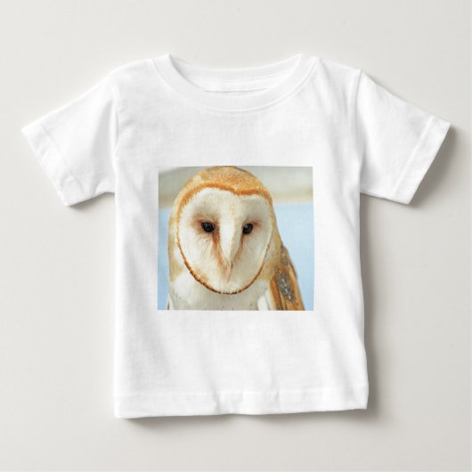 Barn owl (Voorkant)