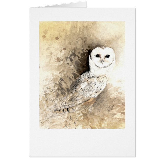 Barn Owl (Voorkant)