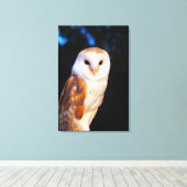 Barn Owl 2 Canvas Afdruk (Insitu (Houten vloer))