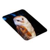 Barn Owl 2 Magneet (Rechterzijde)