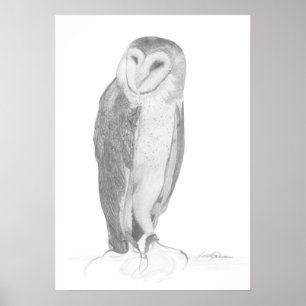 Barn Owl Art Print