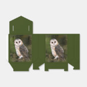 Barn Owl Ballotins (Déplié)