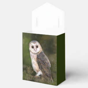 Barn Owl Ballotins