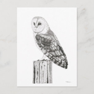 Barn Owl - Blank Briefkaart