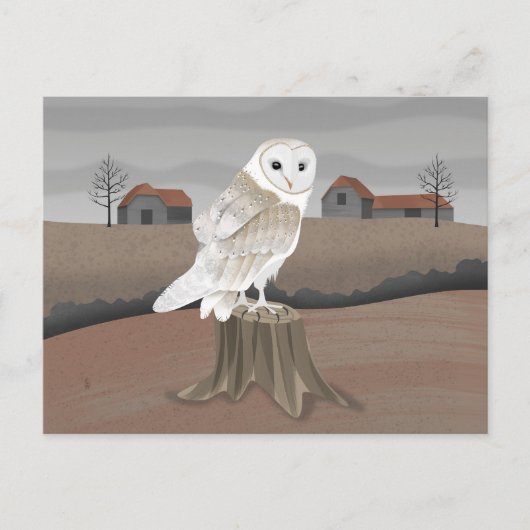 Barn Owl Briefkaart (Voorkant)