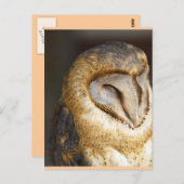 BARN-owl Briefkaart (Voorkant / Achterkant)