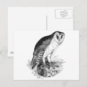 Barn Owl Briefkaart (Voorkant / Achterkant)