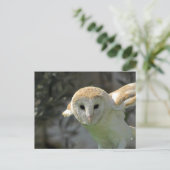 Barn Owl Briefkaart (Staand voorkant)