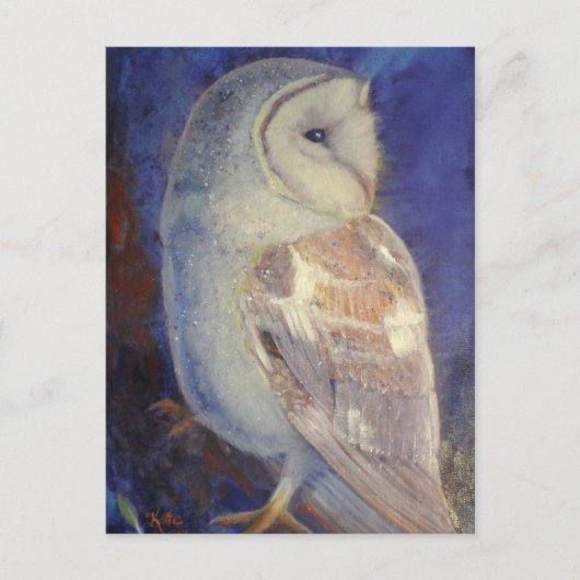Barn Owl Briefkaart (Voorkant)