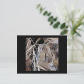 Barn Owl Briefkaart (Staand voorkant)