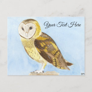 Barn Owl Briefkaart