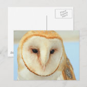Barn Owl Briefkaart (Voorkant / Achterkant)