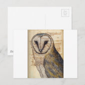Barn Owl Briefkaart (Voorkant / Achterkant)
