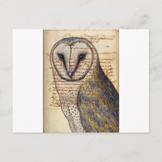 Barn Owl Briefkaart (Voorkant)