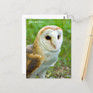 Barn Owl Briefkaart