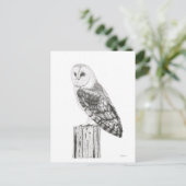 Barn Owl - Carte postale vierge (Debout devant)