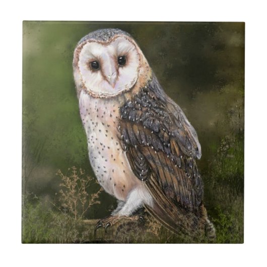 Barn Owl Ceramic Tile Tegeltje (Voorkant)