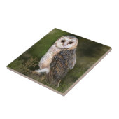 Barn Owl Ceramic Tile Tegeltje (Zijkant)