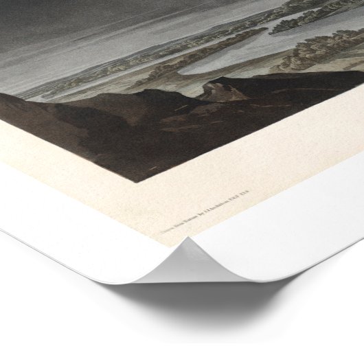 Barn Owl door Audubon Poster (Hoek)