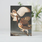 Barn Owl door John James Audubon Bedankkaart (Staand voorkant)