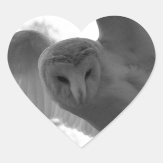 Barn Owl Hart Sticker