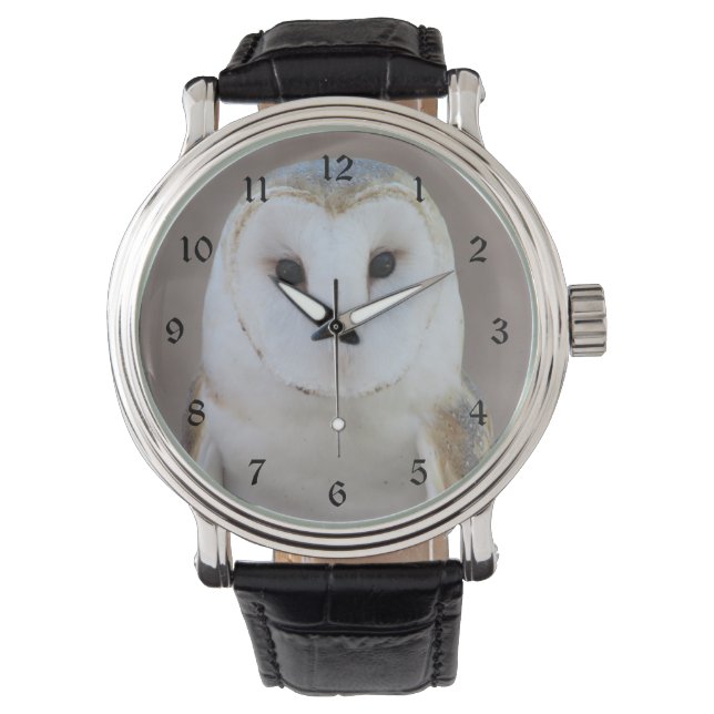 Barn Owl Horloge (Voorkant)