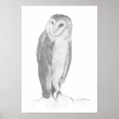 Barn Owl | Impression d'art (Devant)