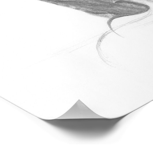 Barn Owl | Impression d'art (Coin)