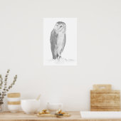 Barn Owl | Impression d'art (Cuisine)
