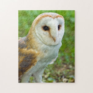 Barn Owl Jigzaapuzzle Legpuzzel