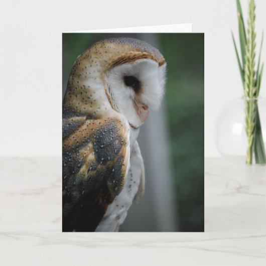 Barn Owl Kaart (Voorkant)