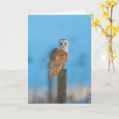 Barn owl kaart (Gele Bloem)