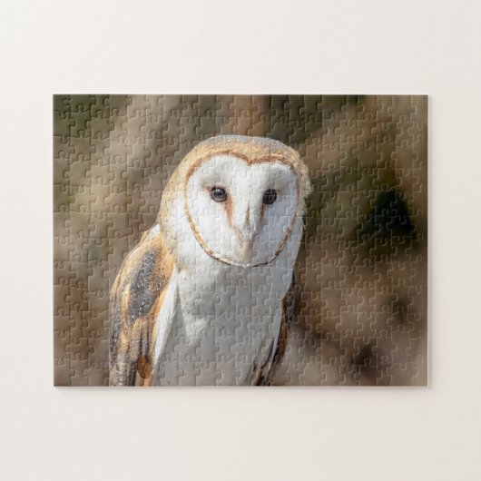 Barn Owl Legpuzzel (Horizontaal)