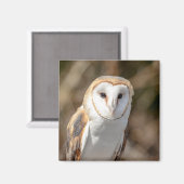 Barn Owl Magneet (Voorkant / Achterkant)
