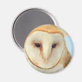 Barn owl magneet (Voorkant / Achterkant)