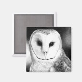 Barn Owl Magnet - "Grayson" Magneet (Voorkant / Achterkant)