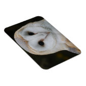 Barn Owl Magnet Magneet (Rechterzijde)