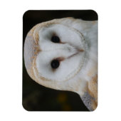Barn Owl Magnet Magneet (Verticaal)