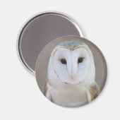 Barn Owl Magnet Magneet (Voorkant / Achterkant)