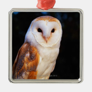 Barn Owl Metalen Ornament