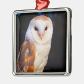 Barn Owl Metalen Ornament (Links)