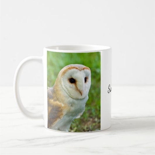 Barn Owl Mok (Links)
