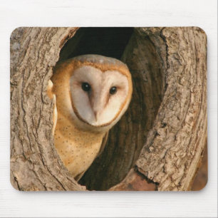 Barn Owl Mousepad Muismat