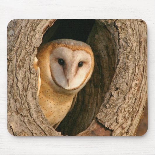 Barn Owl Mousepad Muismat (Voorkant)