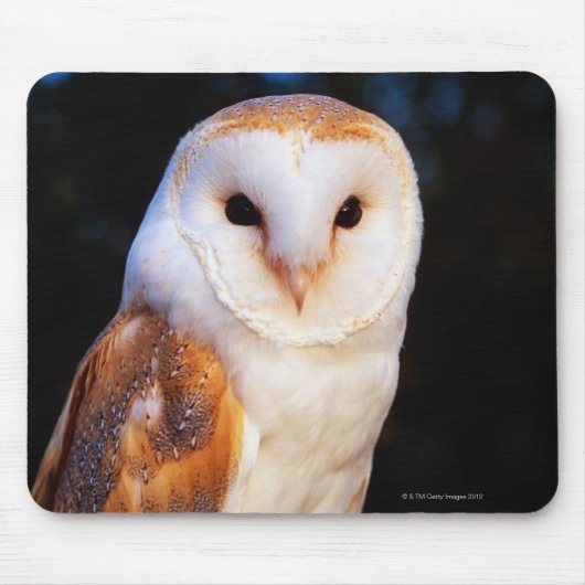 Barn Owl Muismat (Voorkant)